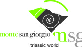 Museo dei fossili del Monte San Giorgio